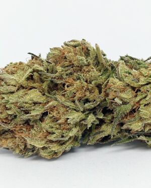 Sour Kush : L’éxotique