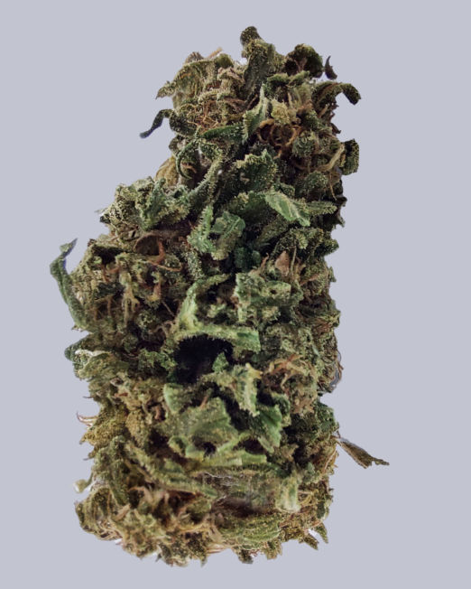 F_BUBBA