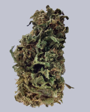 Bubbatonic : La Boisée