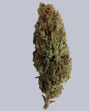 Sour Kush : L’éxotique