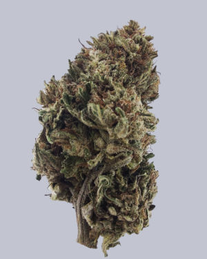 Lemon G : la CBG acidulée